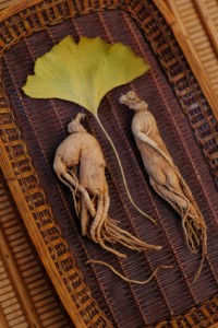 Ginseng and Ginkgo