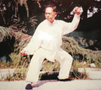 Grandmaster Feng Zhiqiang