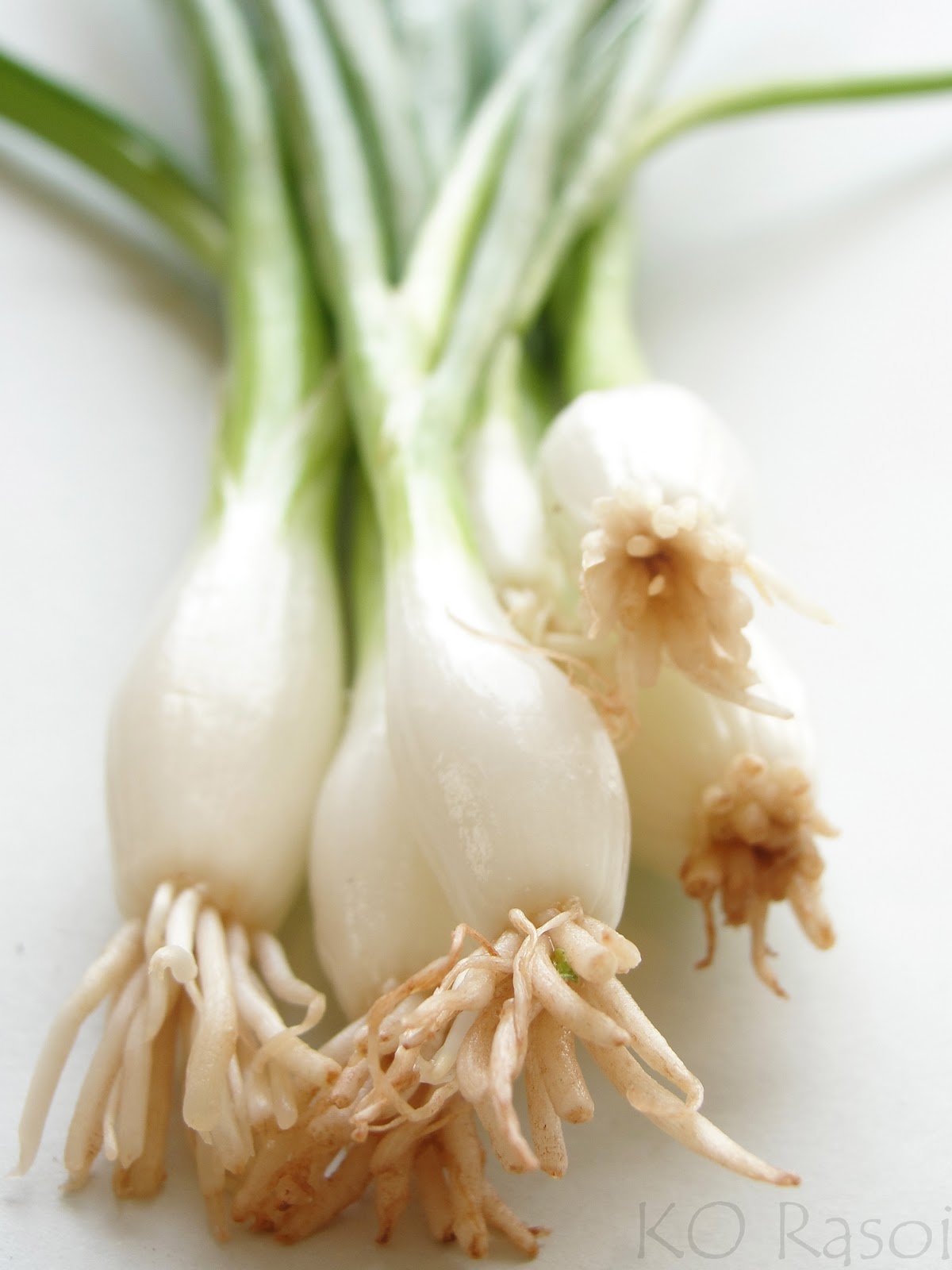 Cold Onions