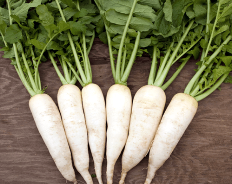 Chinese white radish, bloating and indigestion Ping Ming Health